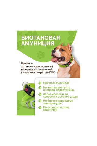 Ooo "firma Kaskad" Köpek Tasması 343182167 Yeşil