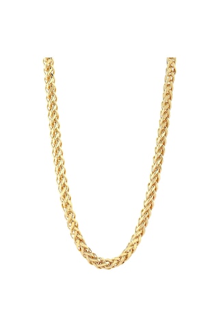 Agakulche Kare Palmiye 3,3 Mm Altın Zincir Renkli