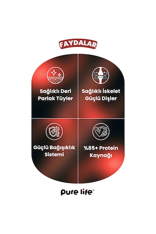 Purelife Prime Biftekli Yetişkin Köpek Maması 15 KG