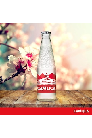 Çamlıca Limon Aromalı Gazoz 200 Ml X 24 Adet
