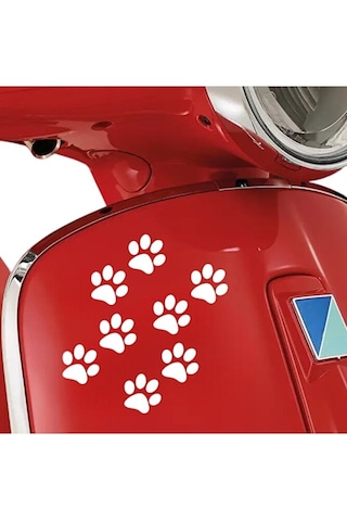 Kedi Patisi Motorsiklet, Laptop, Kask, Araba Sticker 8'li