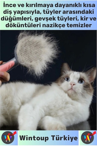 Wintoup Ergonomik Kaymaz Uzun Kısa Tüy Tüm Irklar İçin Kendini Temizleyen Otomatik Tuşlu Kedi Köpek Tarağı