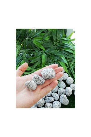 Ekodoğa Granit Dolomit Taş 25 Kg 2 5 4 Cm Siyah Beyaz Dekoratif Bahçe Taşı Dekor Sku: Smgstk44404cc5b2