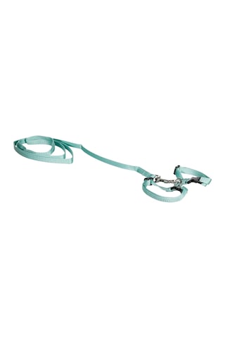Pawise Kedi Göğüs T. 14.5-25/18-30cm Yeşil-mavi S