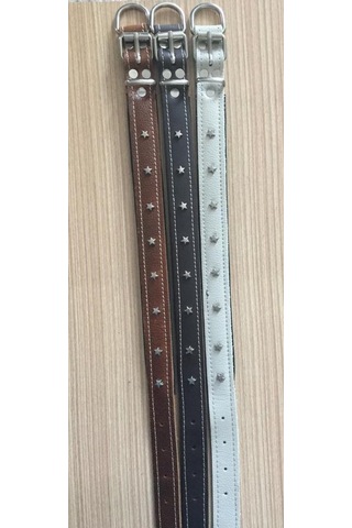 Atlantik Yıldızlı Köpek Boyun Tasması Bej 2.5 x 55 CM Bej