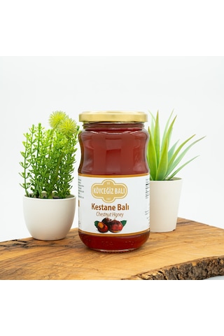 Köyceğiz Balı Kestane Balı Cam Kavanoz 450 G