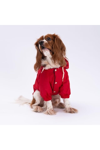 Pettrend Kırmızı Mont Köpek Mont Köpek Kıyafeti Köpek Yağmurluğu