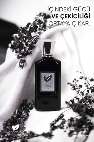 Azura E44 Style Erkek Parfüm EDP 60 ML