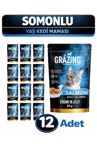 12li Somonlu Yaş Kedi Maması Omega Destekli Yaş Mama 12x 85 Gr
