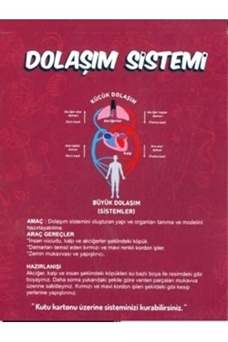 Misyon Kiwi Dolaşım Sistemleri Çalışması