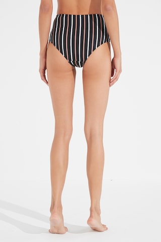 Penti Çok Renkli Amber High Fashion Bikini Altı