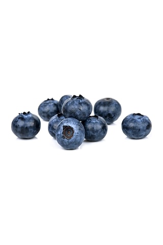Tüplü Yaban Mersini Blue Berry Fidanı