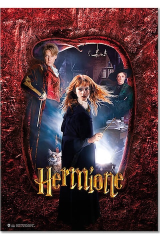 Wizarding World Harry Potter Poster - Hogwarts Karakter. Hermione