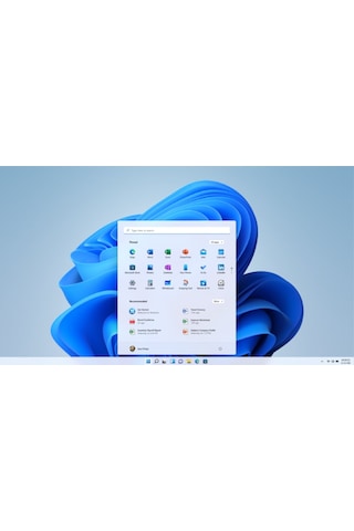 MS Windows 11 Pro FQC-10556 64 Bit TR (Oem)