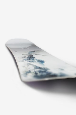 Capita Birds Of A Feather 2026 Çok Renkli