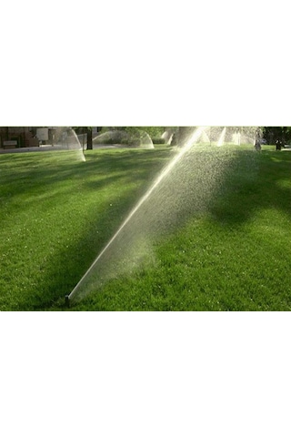 Rainbird 3504 1/2" Rotor Sprey Spring Fiskiye-Çim Sulama