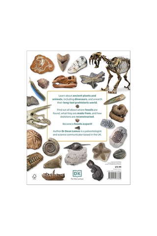 My Book Of Fossils: A Fact-filled Guide To Prehistoric Life