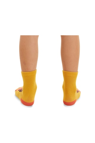 Denokids Kaplan Erkek Çocuk 2'li Soket Çorap Takım Çok Renkli