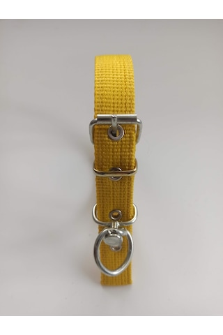 Kozaklı Küçük Irk Köpek Tasması Sarı 50 x 2.5 CM Sarı