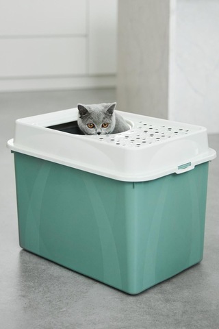 Eco Berty Üstten Girişli Kedi Tuvaleti - Çevre Dostu Ve Kolay Temizlenebilir