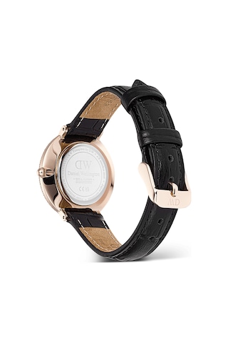 Daniel Wellington Dw00600827 Kadın Kol Saati Diğer