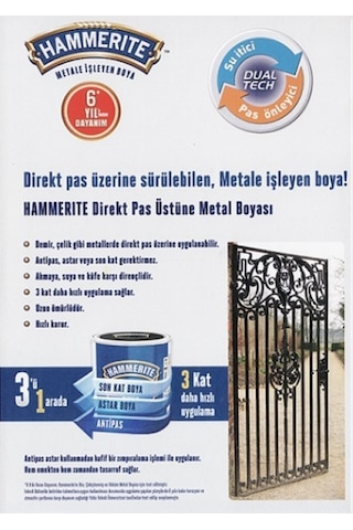 Hammerite Pas Üstüne Metal Boyası