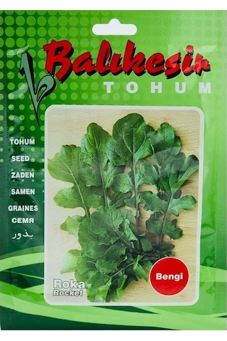 Roka Tohumu Bengi 500 Gr