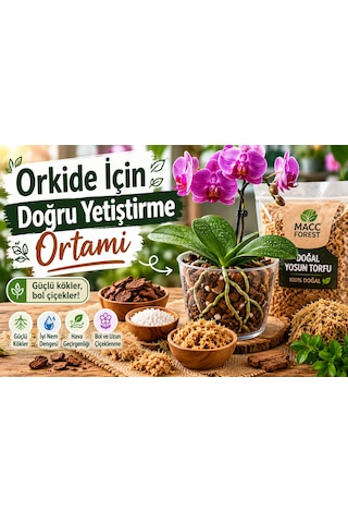 3 Litre Doğal Yosun Torfu, Lif Parça Canlı Spagnum Floor Moss Yosun, Teraryum, Orkide, Toprak Katkısı,dekor