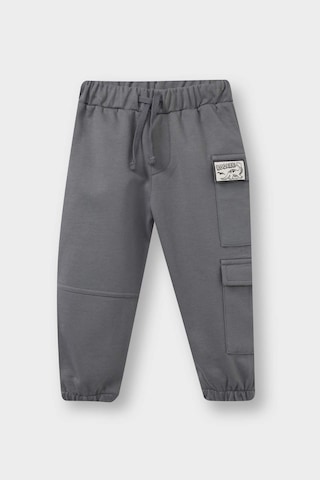 Defacto Erkek Bebek Beli Lastikli Eşofman Altı F5088a525augr211 Gri