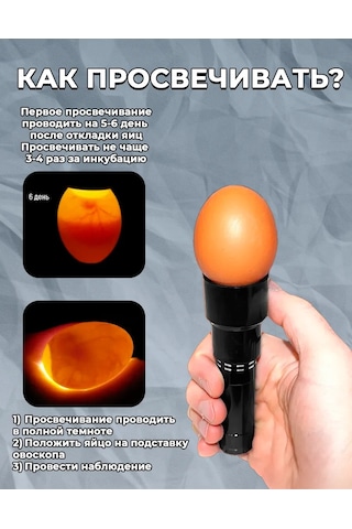 Mixdazzle Yumurta Kontrolü İçin Kuluçka Ovoskopu 396985746