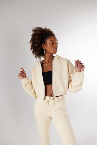 Holly Lolly Kadın Bej Kapüşonlu Uzun Kol Fermuarlı Crop Mixed Sweat
