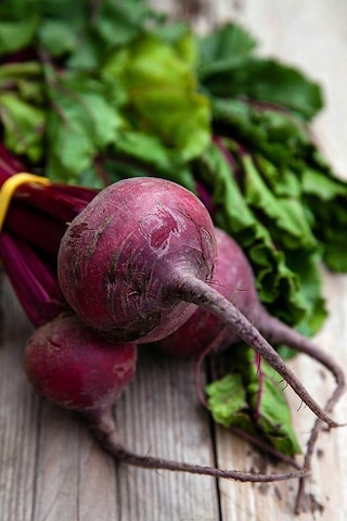 Yakut Kırmızı Pancar Tohumu Atalık Beet Ruby Queen Beta Vulgaris