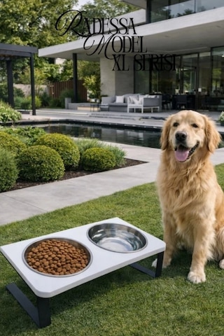 Reyo Ok-ay Store Radessa Xl Yüksek Standlı Çift Hazneli Mama Ve Su Kabı, Büyük Ve Orta Boy Köpek Ve Kedi Su Kabı Paslanmaz Çelik Beyaz