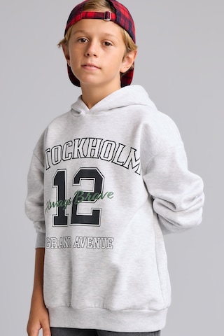 Defacto Overshirt Fit Kapüşonlu İçi Yumuşak Tüylü Baskılı Sweatshirt Erkek Çocuk I3083a826wngr400 Gri-gr400