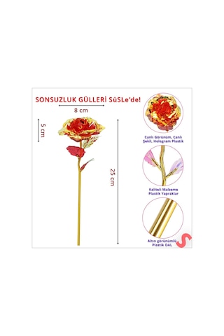 Sonsuzluk Gülü, 25 Cm X 8cm - Kırmızı