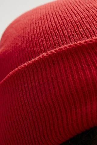 Bad Bear Bonfire Crimson Red Kırmızı Bere