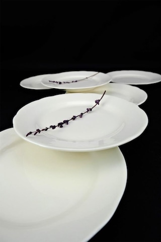 Digithome Papatya 6 Lı Porselen Pasta Ve Sunum Tabağı Seti 19 Cm Krem - Tl4051627 C320.003