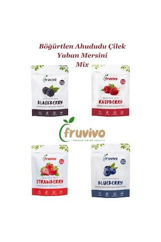 Fruvivo 4'lü Freeze Dry Paket - Böğürtlen + Ahududu + Yaban Mersini + Çilek Orman Meyveleri - Dondurularak Kurutulmuş Meyve Cipsi Şeker İlavesiz %100 Doğal Vegan 75 G