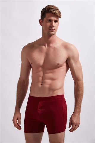 Josejuan 3'Lü Erkek Boxer Düğmeli Koton Likralı 1010-Gri Melanj - Bordo - Indigo