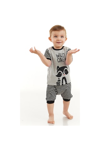 Denokids Rakun Erkek Bebek T-shirt Kısa Pantolon Takım Gri