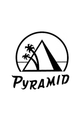 Gitar Aksesuar Pena 12 Adet Pyramid 1.20 MM Extra Heavy 557cp