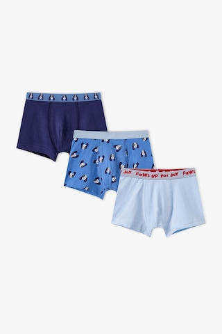 Penti Erkek Çocuk Mavi Paws For Joy Pamuklu 3lü Boxer