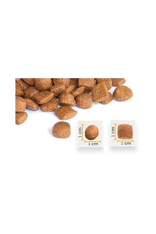 Bonacibo Tavuklu ve Hamsili Pirinçli Yetişkin Kedi Maması 2 x 2 KG