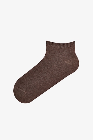 Penti Bordo Kahverengi Leopar Everyday 5 Çift Patik Çorap Bordo Kahverengı
