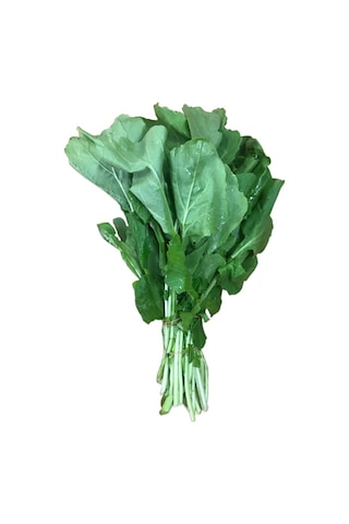 Roka Tohumu 100 Tohum + Tohum