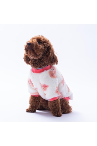 Fluffy Face Ayı Desenli Sweat Kedi Köpek Sweati Kedi Köpek Kıyafeti Köpek Peluşu Sıcak Tutan Sweat