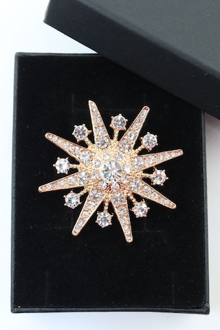 Gold Kar Tanesi Broş. Taşlı Tasarım Broş. Yaka İğnesi Broş. Kadın Broş. Erkek Broş. Broş. Unisex Gold