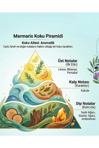 Oxi Natural Premium 80 Kolonya 220ml Cam Şişe Kutulu - Marmaris