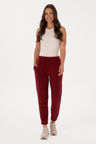 U.S. Polo Assn. Kadın Bordo Polar Jogger Eşofman Altı 50318758-VR014