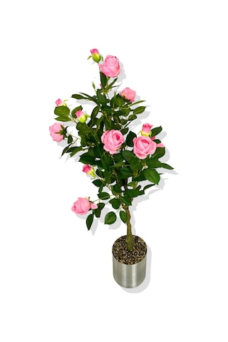 Cihan Çiçekçilik Yapay Pembe Gül Ağacı 150 Cm 25x25 Galvaniz Saksı Beyaz- Yeşil